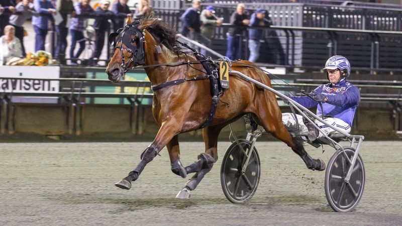 Ukens starter - Uke 8