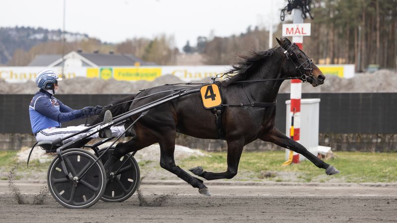 Ukens starter - Uke 2