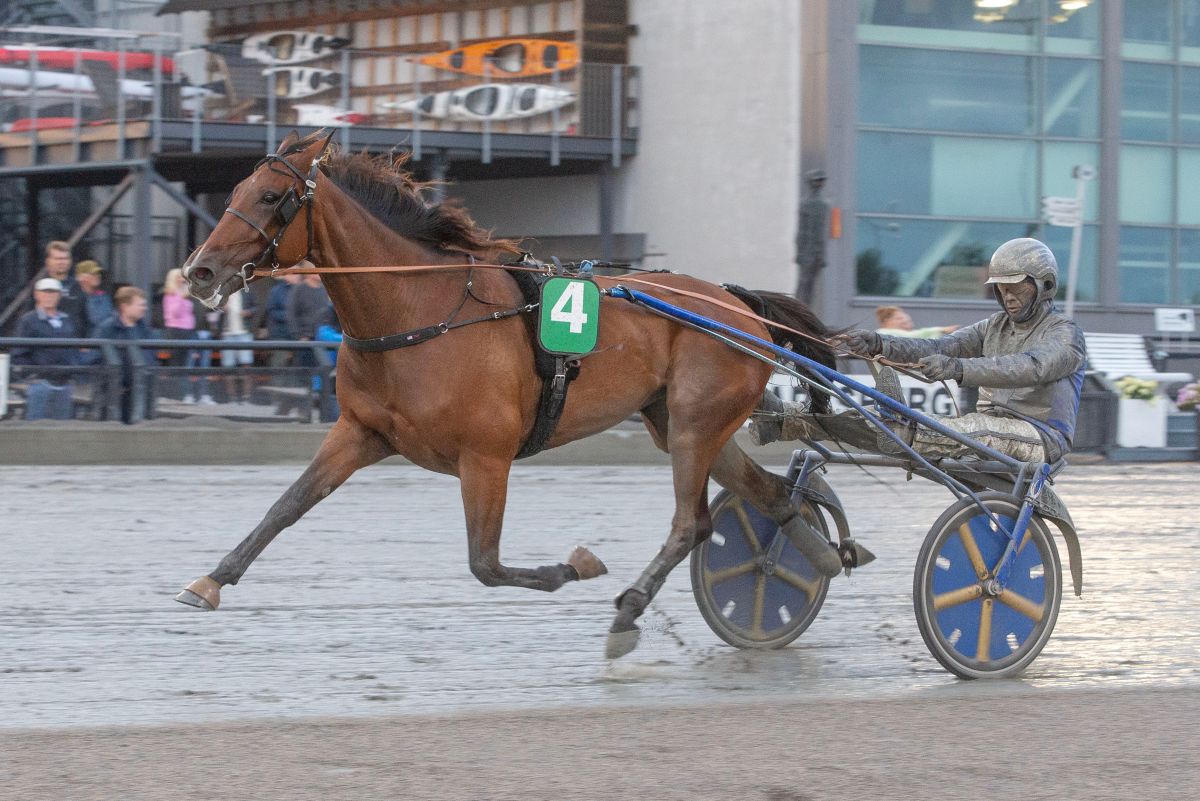 Ukens starter – uke 3