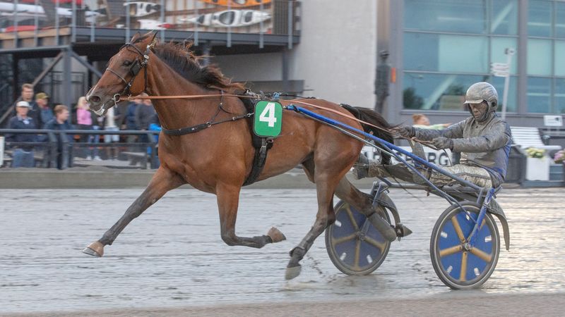 Ukens starter – uke 3