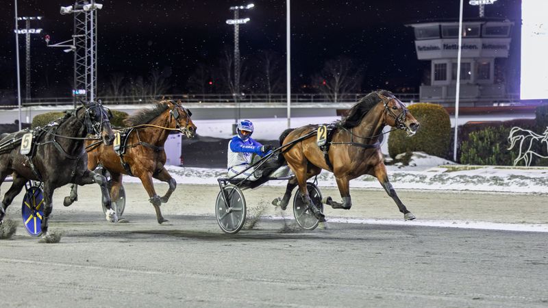 Ukens starter - Uke 9