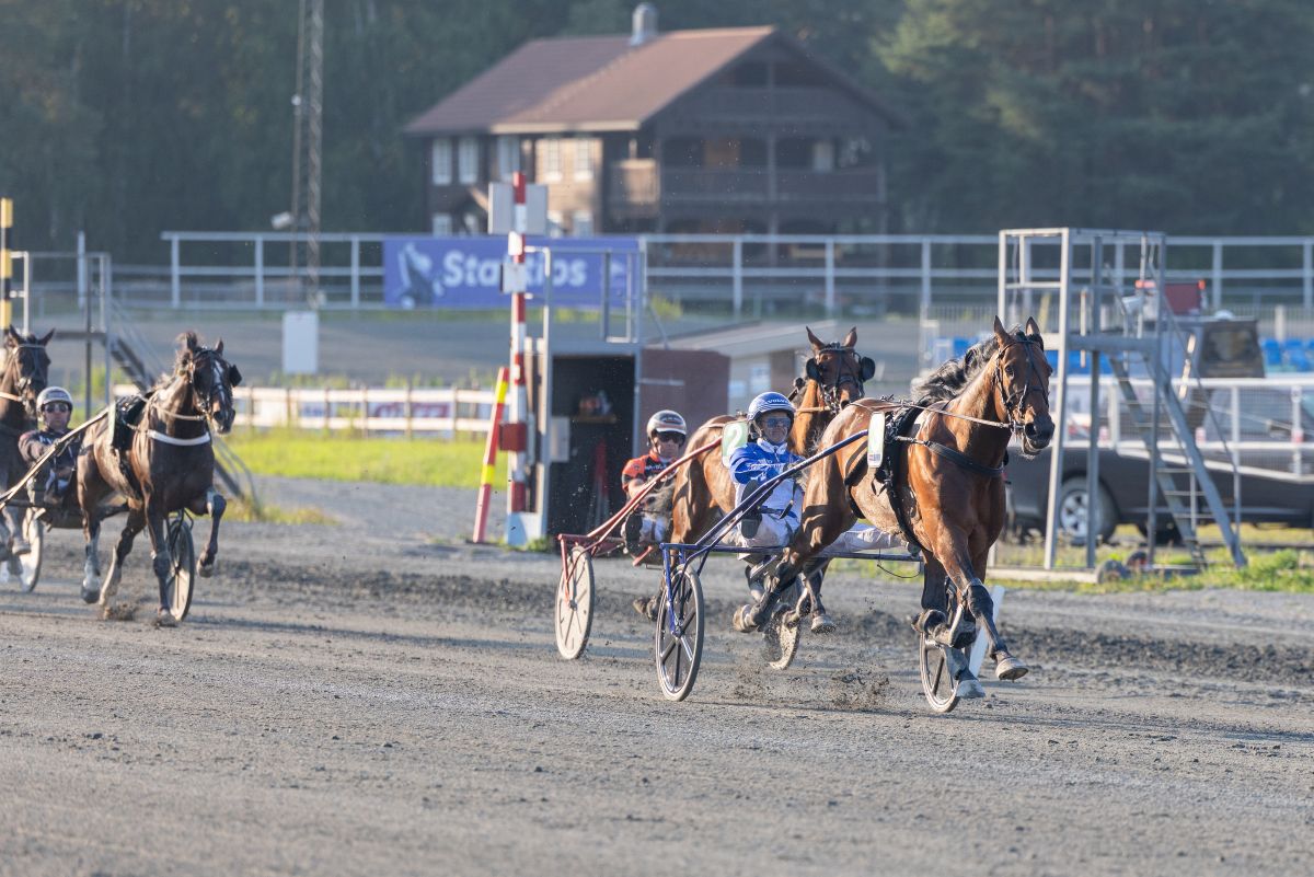 Toppdag på Biri med tre stallseiere