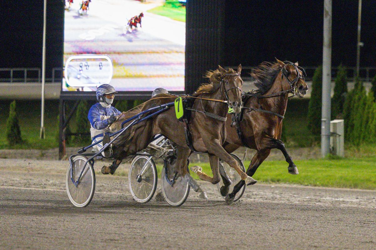 200 seiere - mange bidratt men Cool Hand Energy topper