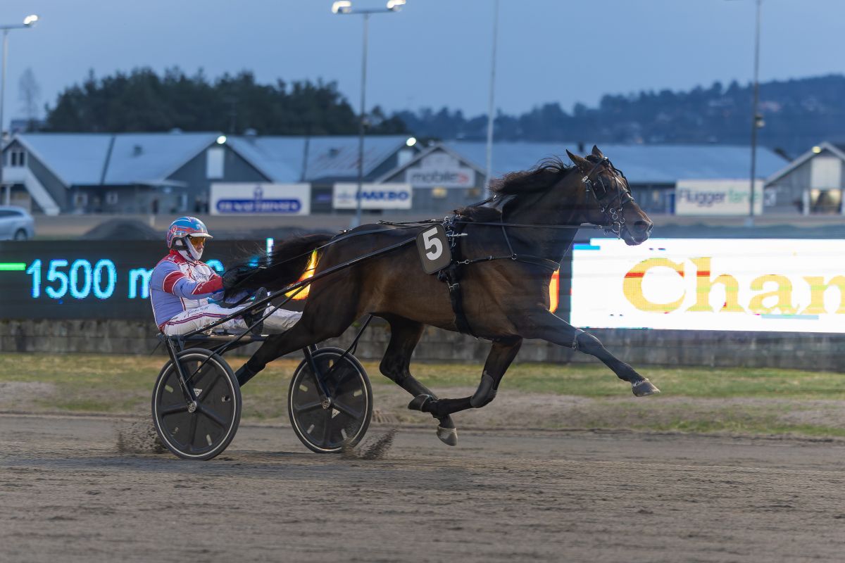 Full pott på Jarlsberg – vant i debuten!