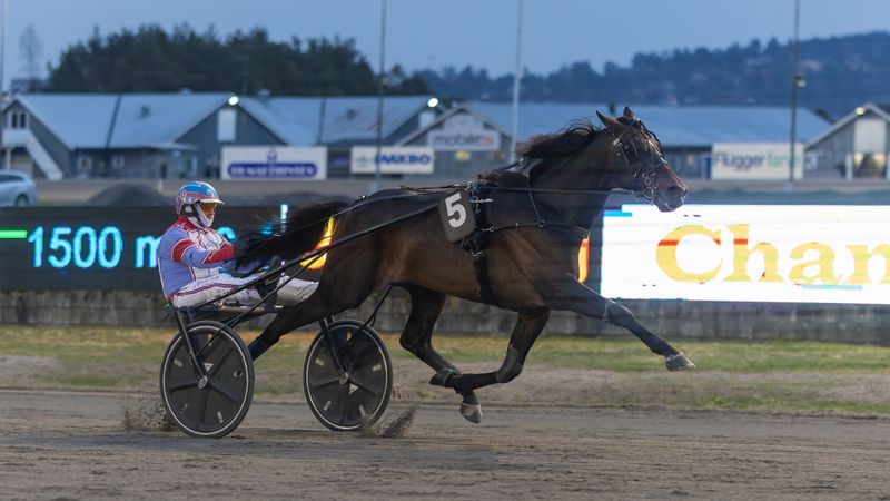 Full pott på Jarlsberg – vant i debuten!