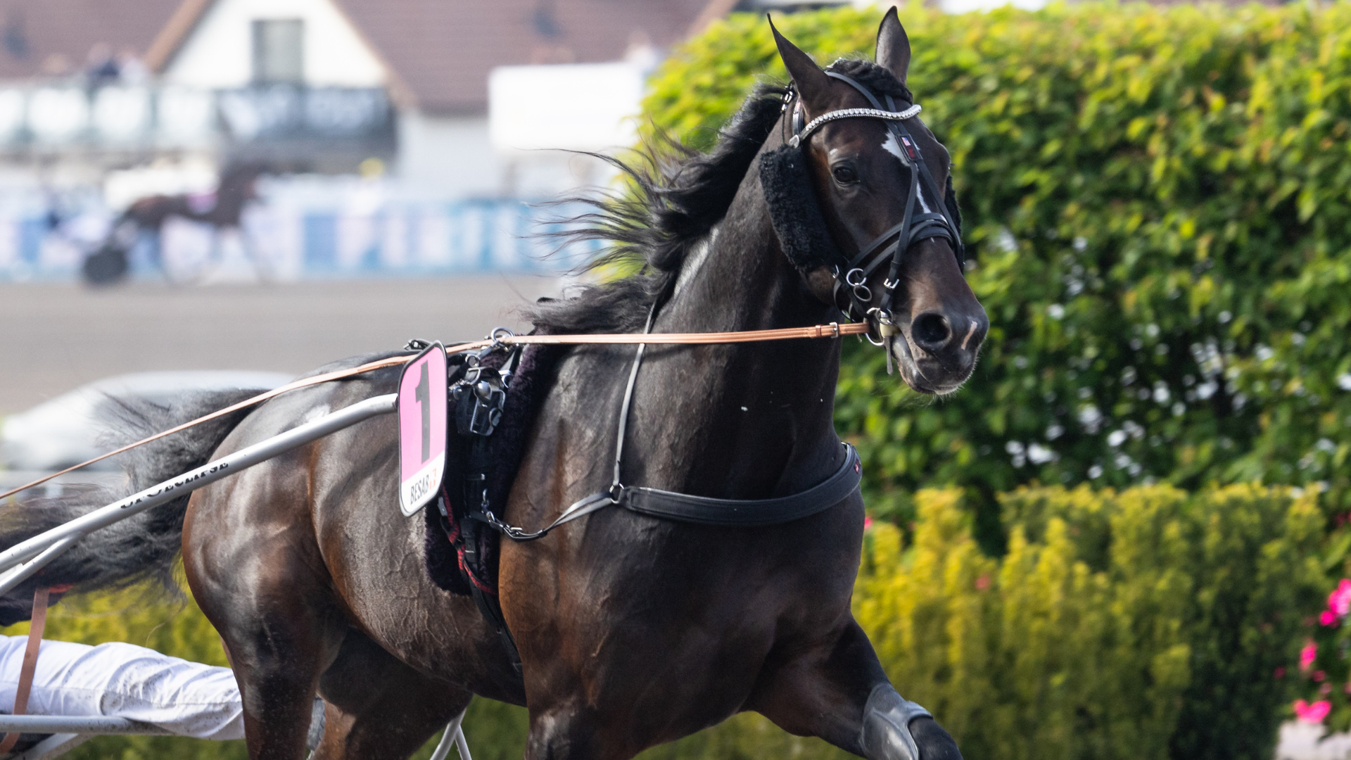 Ny amerikaner sjekker inn på Ulleberg Gård
