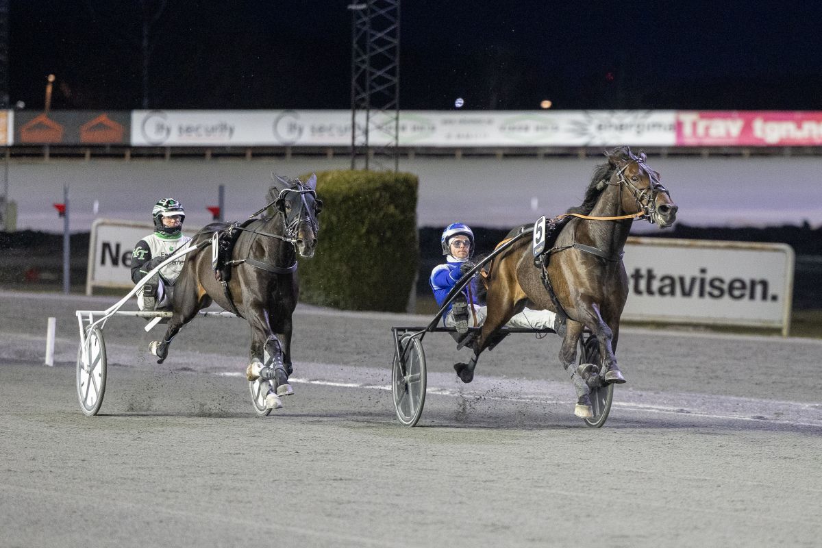 Cogburn holdt unna favoritten - og tøffe tak i den laveste klassen