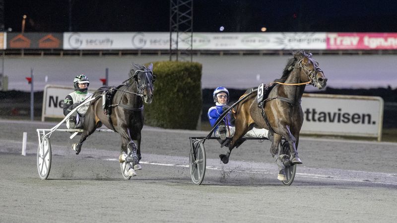 Cogburn holdt unna favoritten - og tøffe tak i den laveste klassen