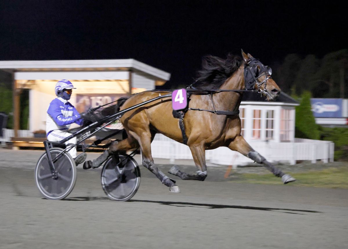 Ny lørdag med to seiere - Don´t Say Gar overbeviste igjen!