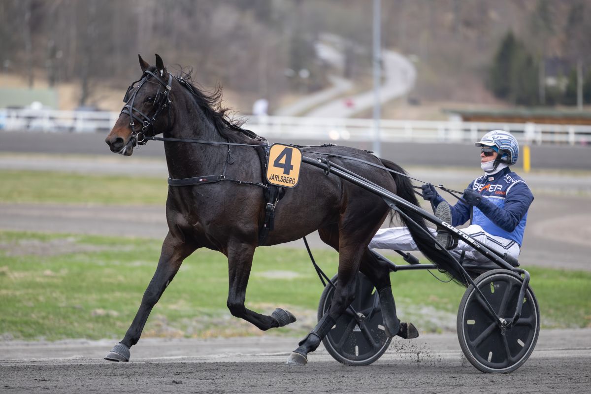 Brostile nærmer seg comeback etter pause