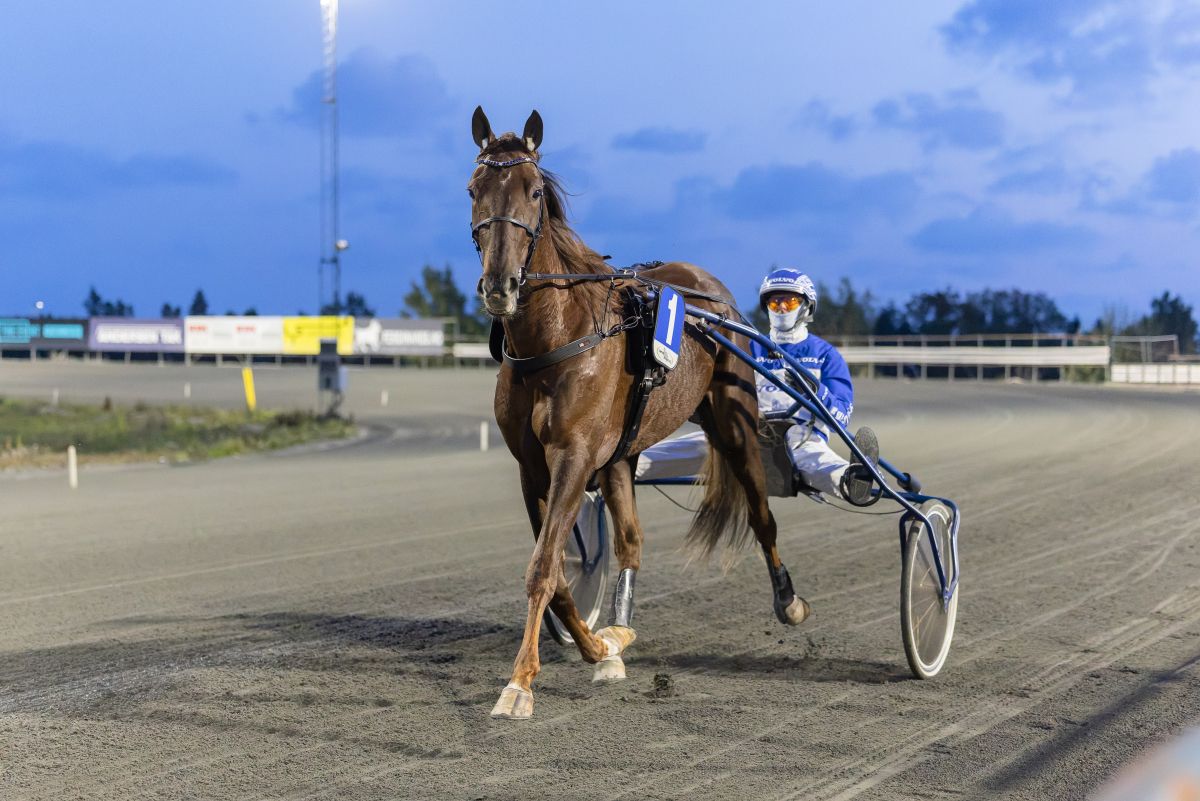 "Det ligner en veldig god vinnersjanse"