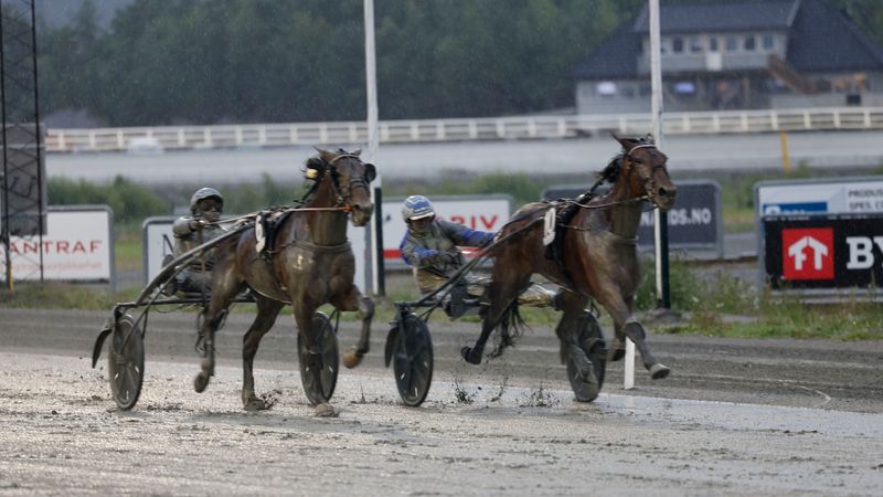 Ukens starter - Uke 12