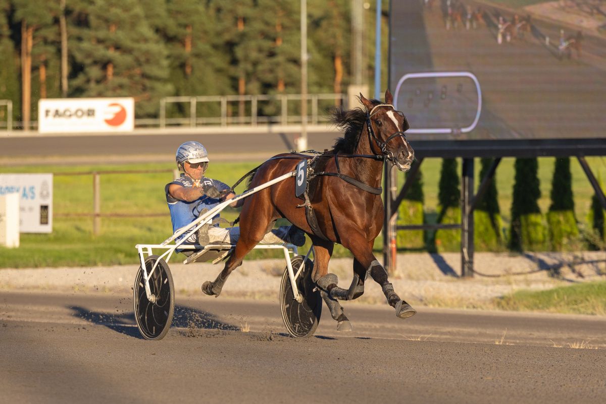 Starter løp fredag kveld - lørdag kan han bli din!