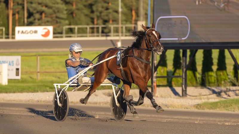 Starter løp fredag kveld - lørdag kan han bli din!