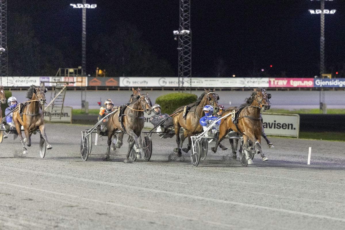 Excalibur Gene og Vidar Hop vinner Eliten på Bjerke 29. september 2026