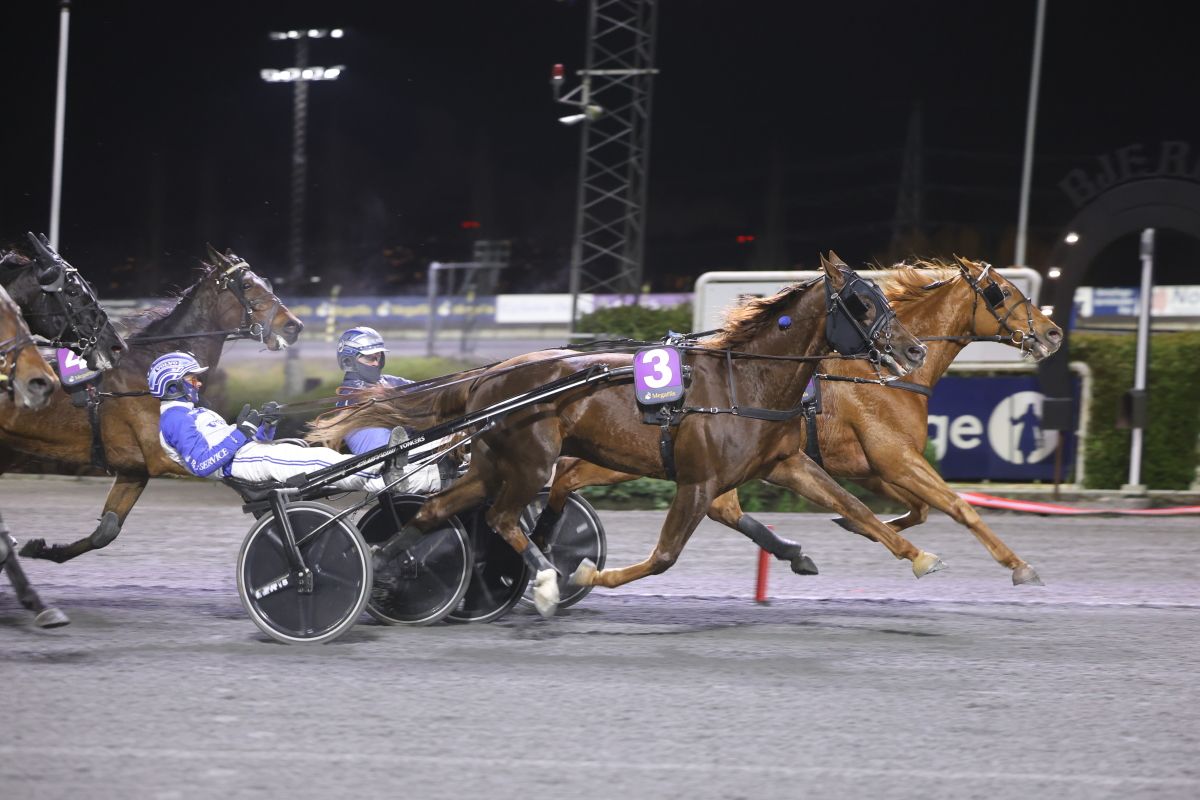 200 seiere - mange bidratt men Cool Hand Energy topper