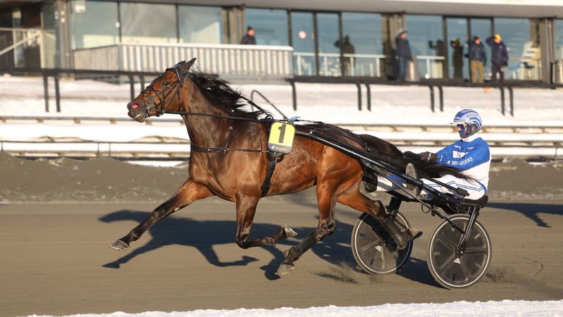 Cogburn en vinner etter pause