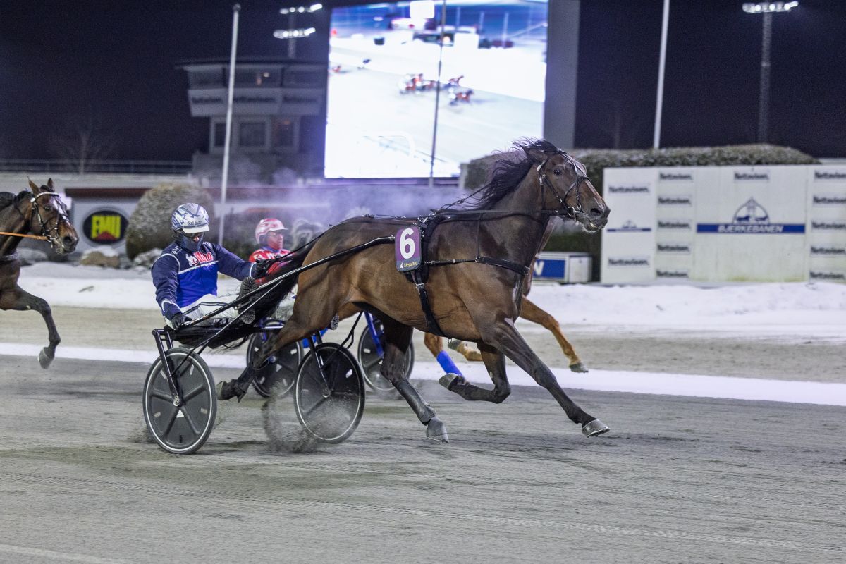 Ny toppdag på Bjerke – Point extrem igjen!