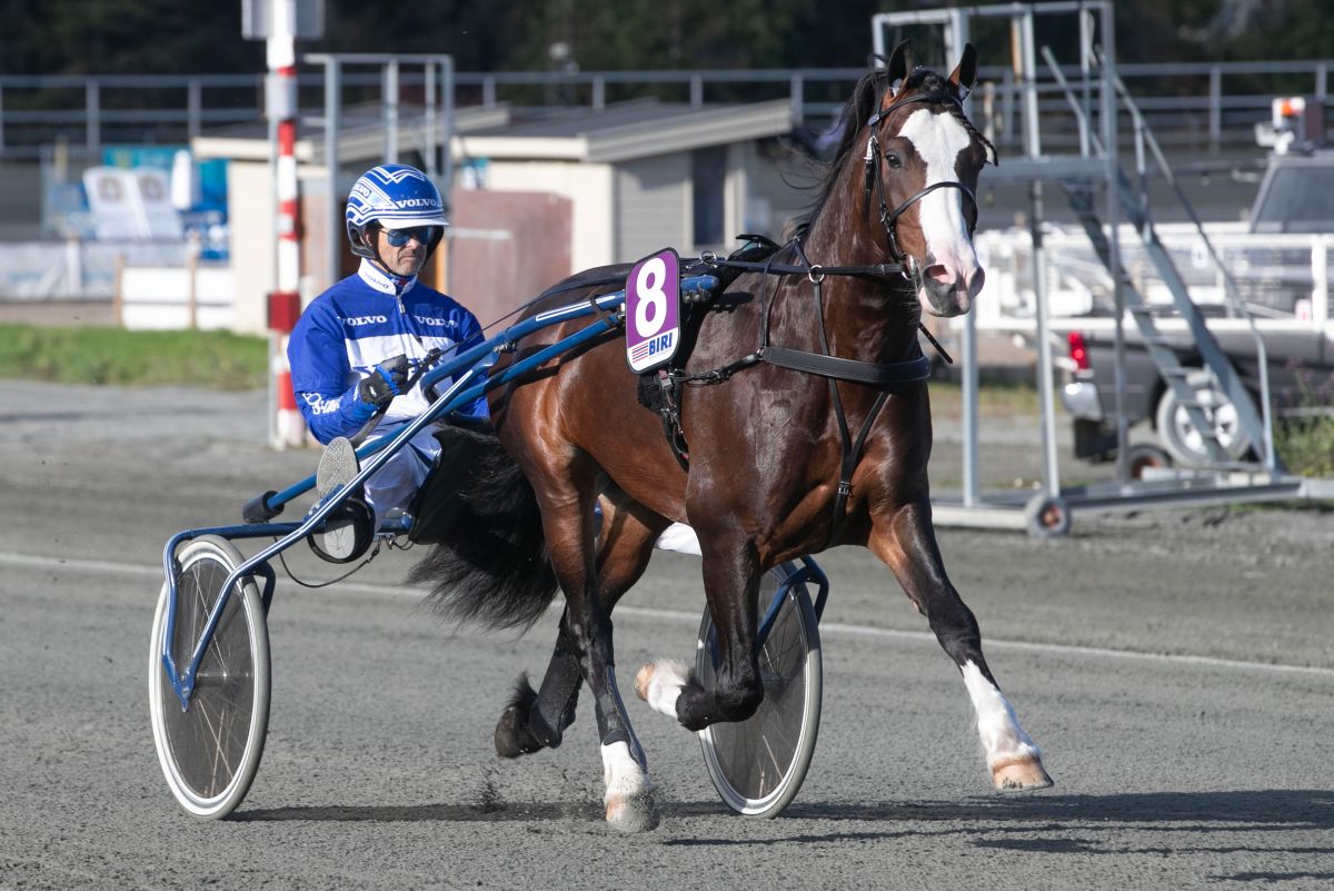 Ukens starter - Uke 14