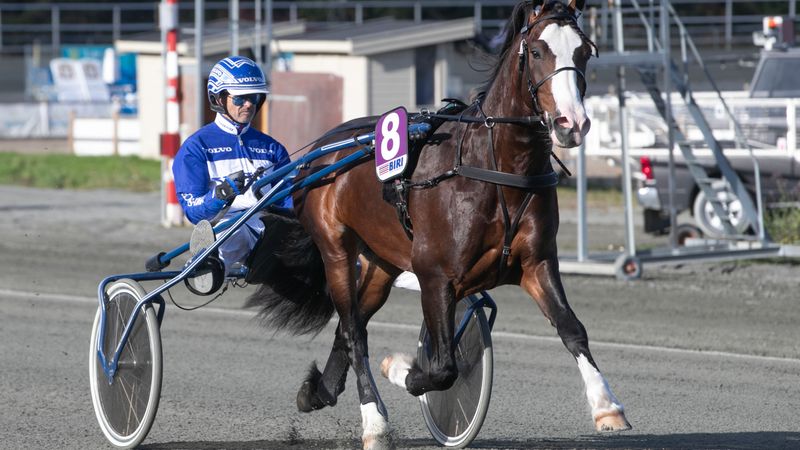 Ukens starter - Uke 14