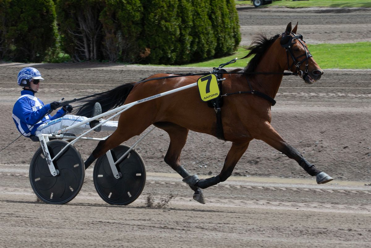 Ukens starter - Uke 7 