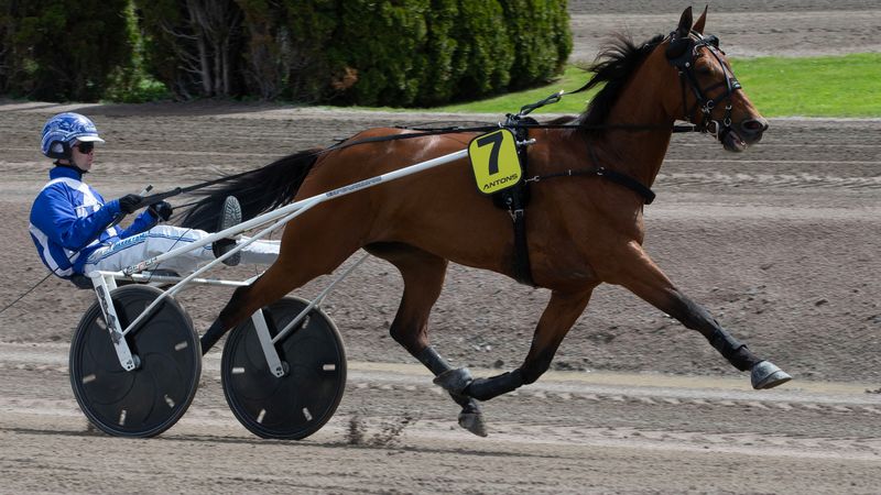 Ukens starter - Uke 7