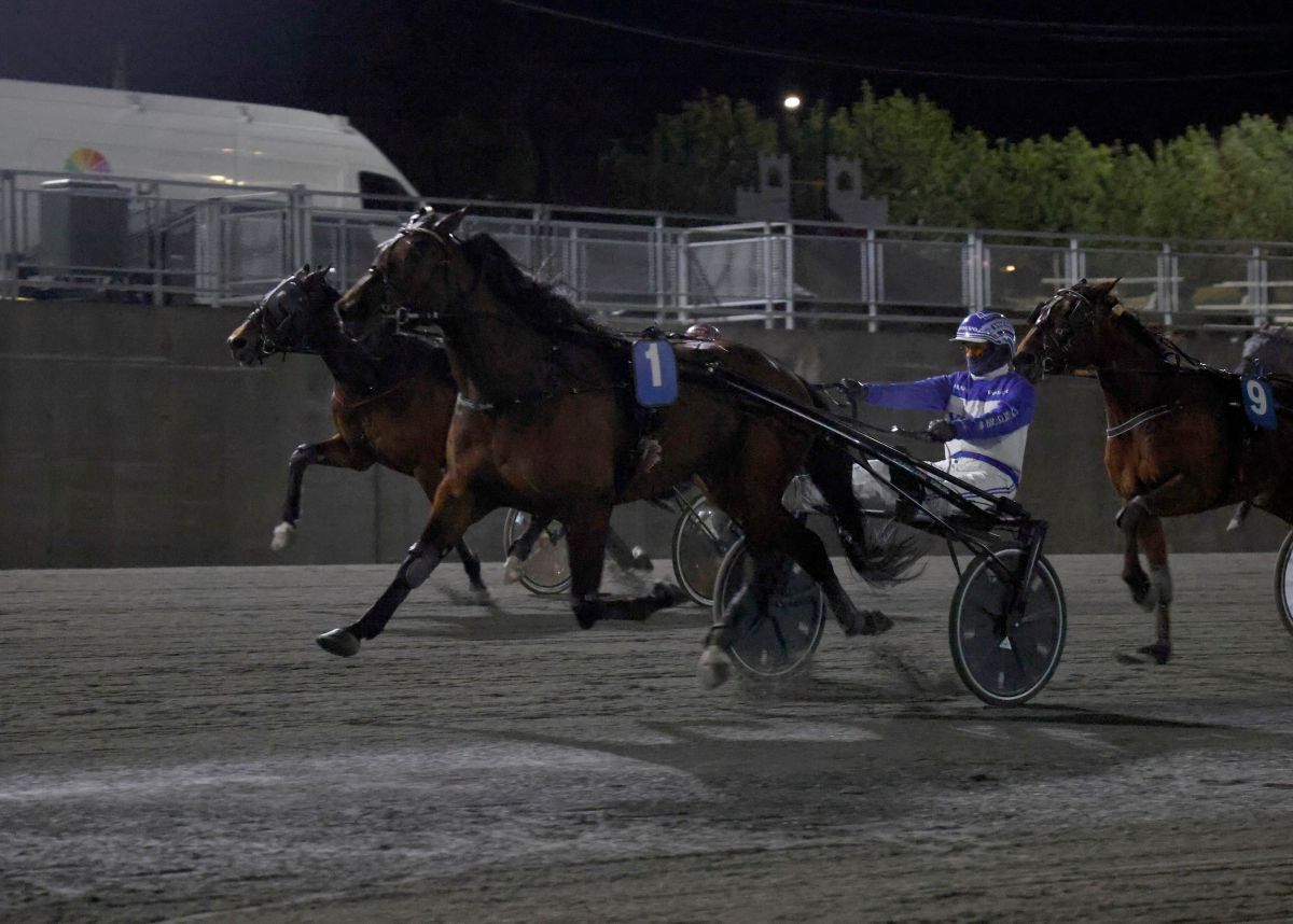 Ny lørdag med to seiere - Don´t Say Gar overbeviste igjen!