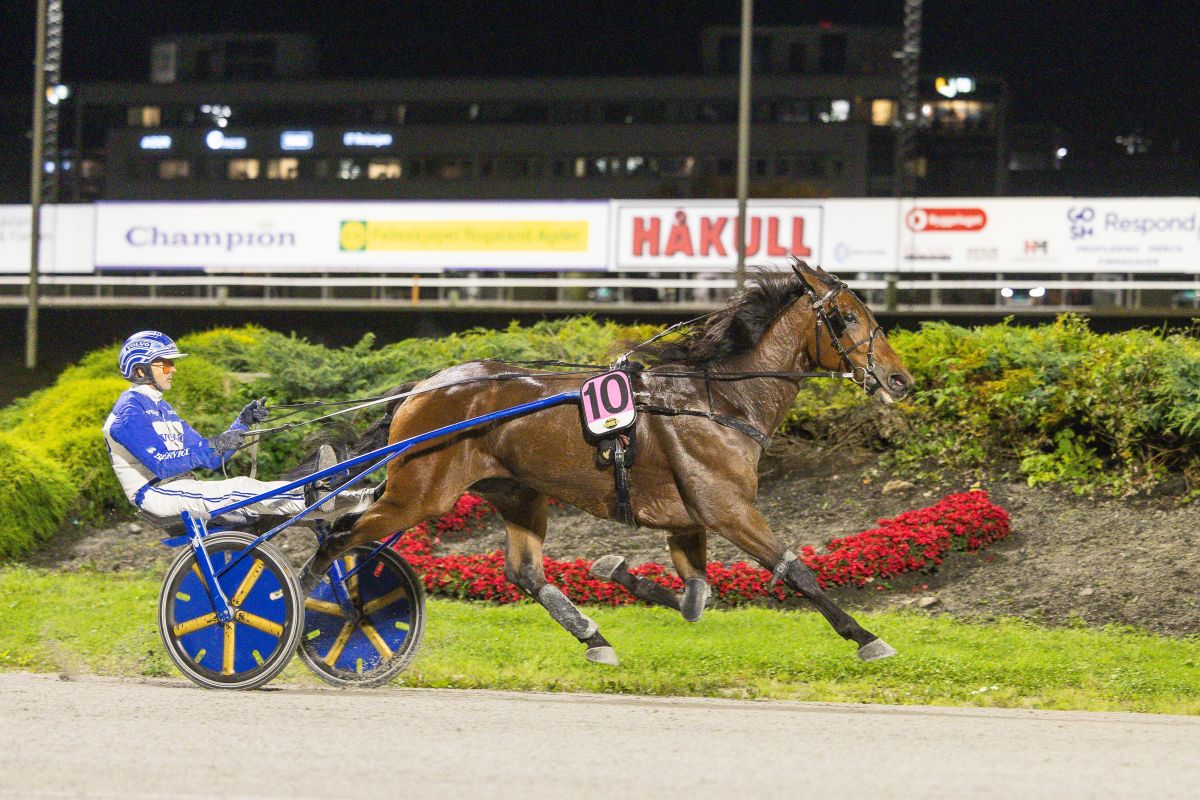 Ukens starter - Uke 4