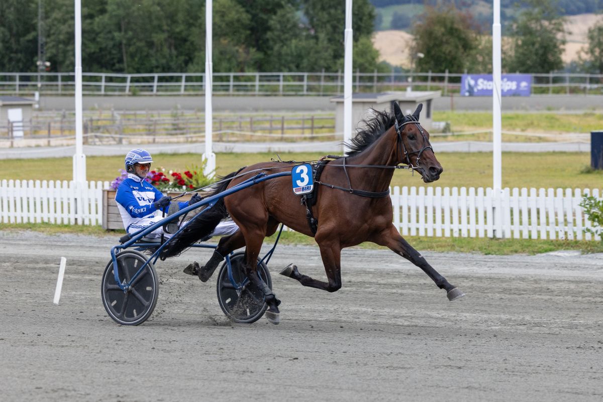 Be the One med Vidar Hop i sulkyen på Biri Travbane
