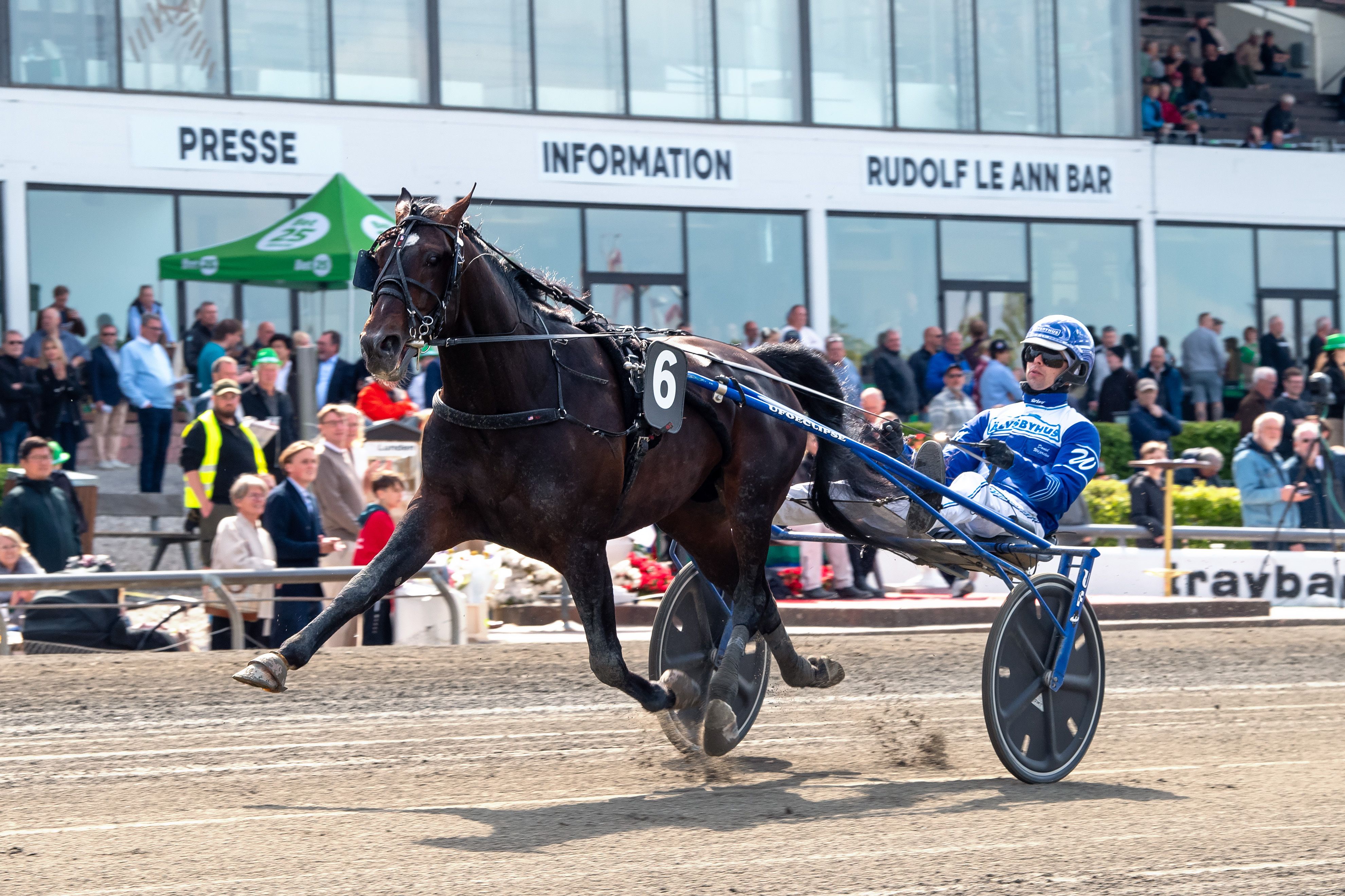 Crown med Daniel Wäjersten i sulkyen på Charlottenlund Travbane