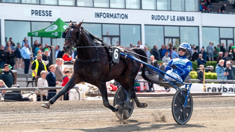 Crown med Daniel Wäjersten i sulkyen på Charlottenlund Travbane