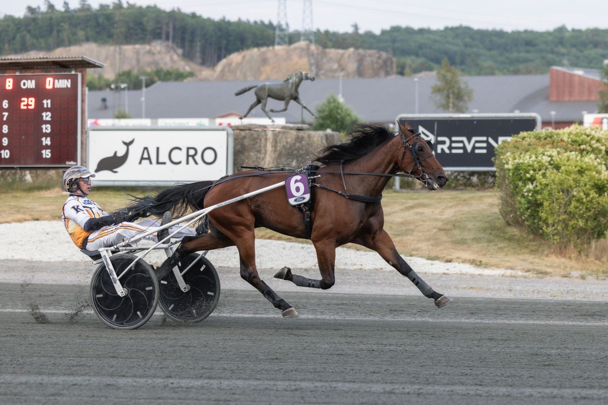 Mattex sammen med Lars Anvar Kolle etter seier på Sørlandets Travpark