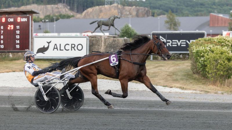 Mattex sammen med Lars Anvar Kolle etter seier på Sørlandets Travpark