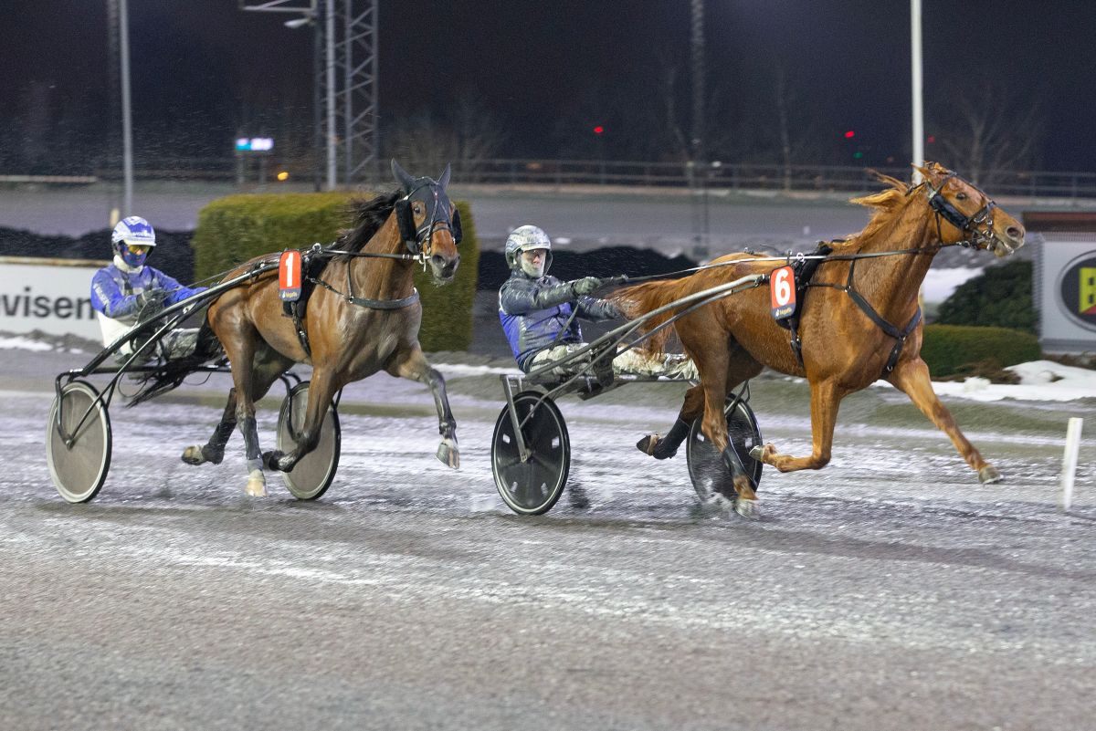 Ukens starter - uke 51