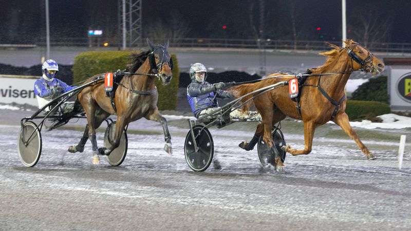 Ukens starter - uke 51