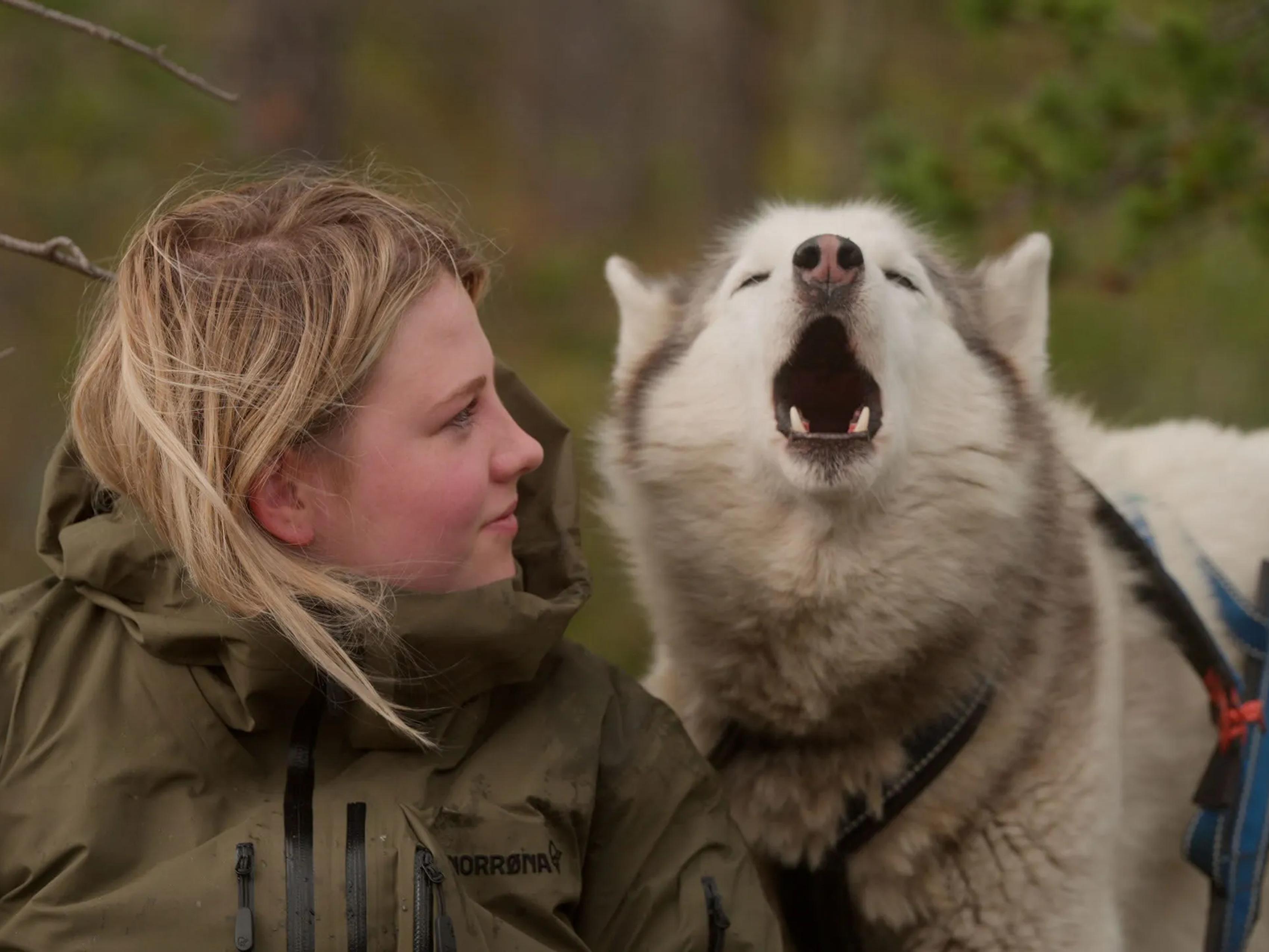 Folktales Movie Artwork Girl and Sled Dog