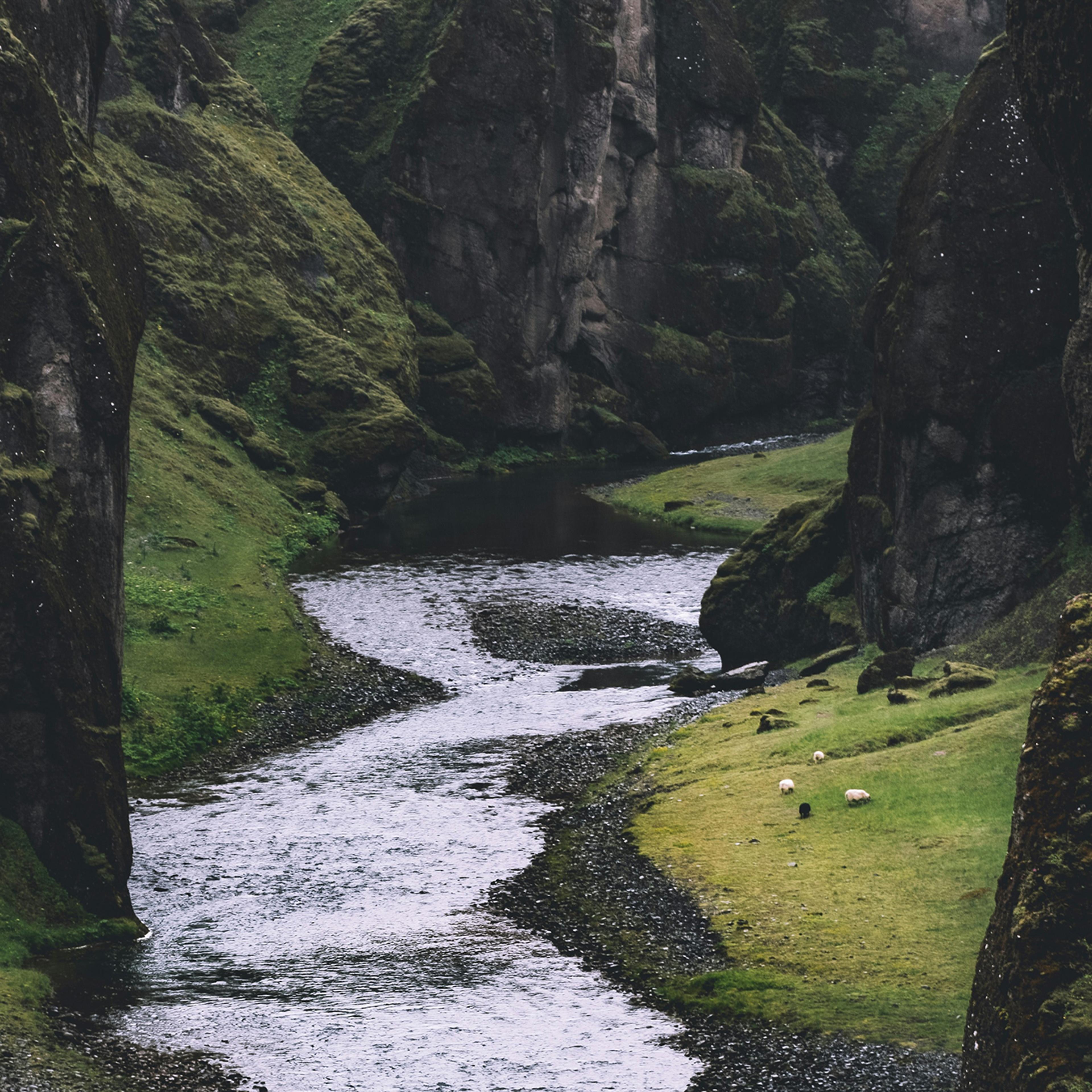 A picture of river with tall cliffs on either side, and green grass on the banks