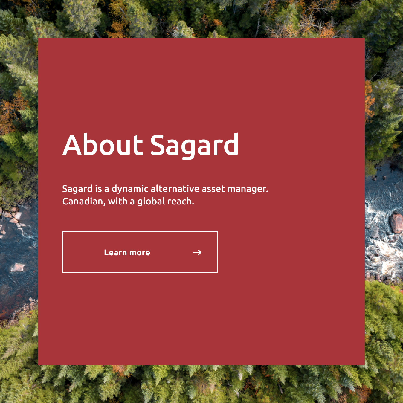 About Sagard dialog box