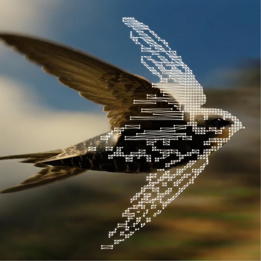 A swift in flight, one wing dissolving into pixels