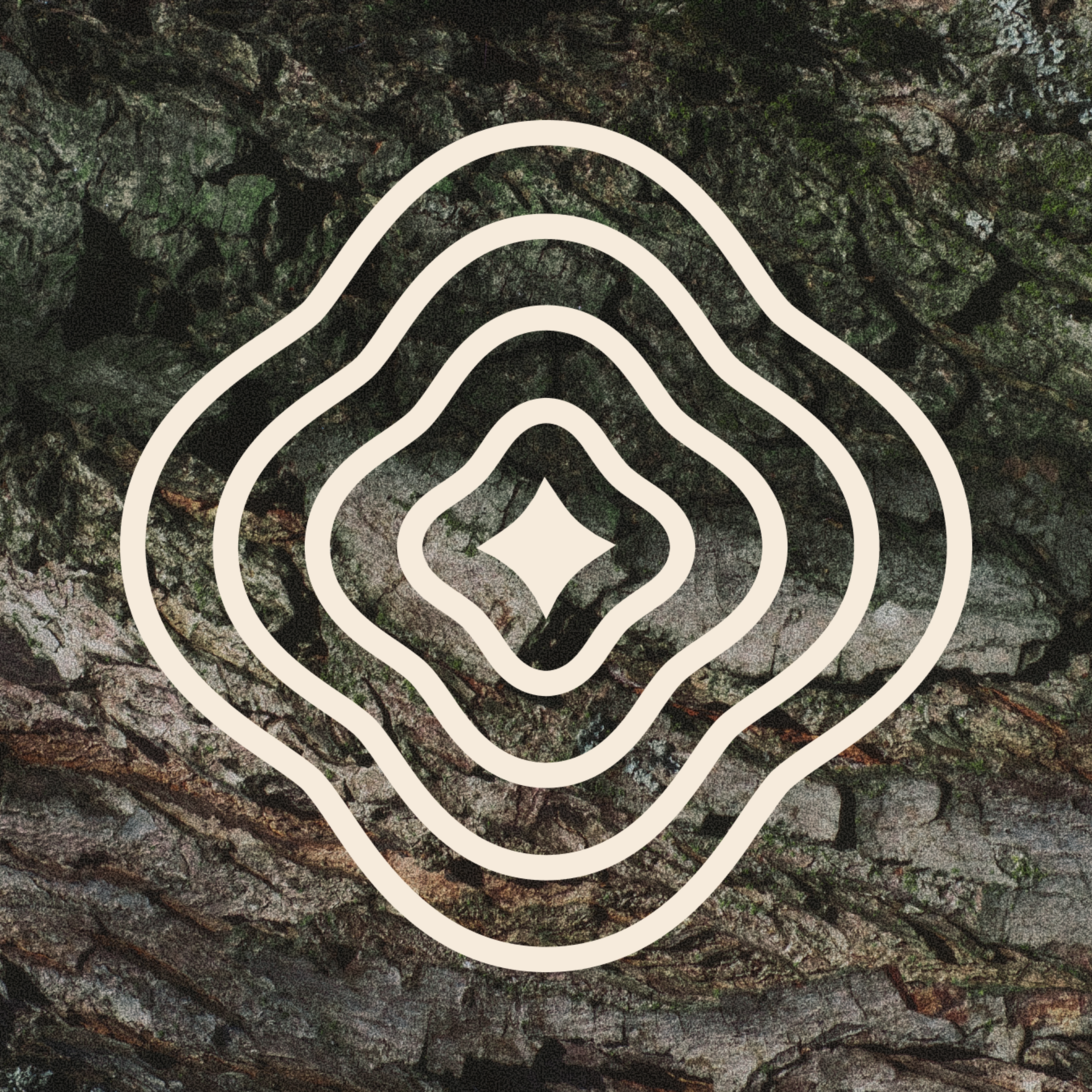 Lutanen monogram overlaid on a background of rock texture