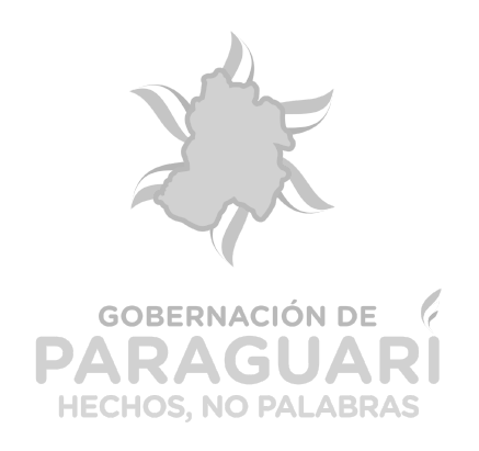gobernación paraguarí