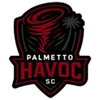Palmetto Havoc logo