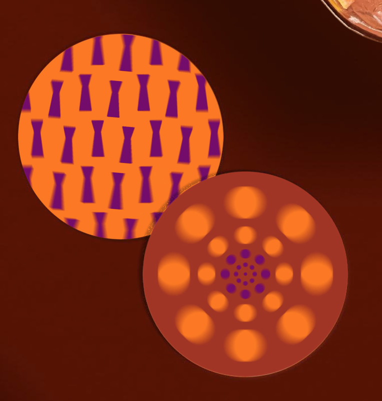 Two circular fabric coasters with orange and purple patterns