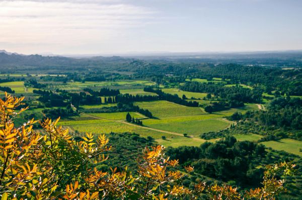 French countryside - nice green rolling hills