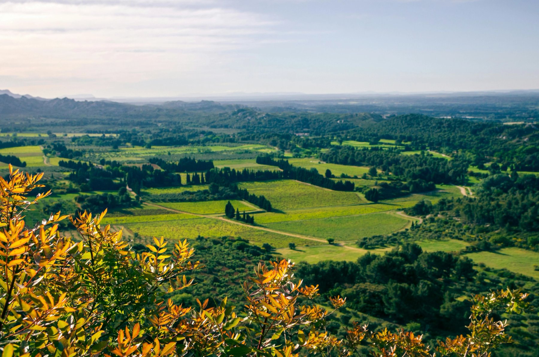 French countryside - nice green rolling hills