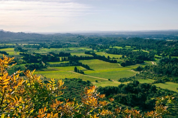 French countryside - nice green rolling hills