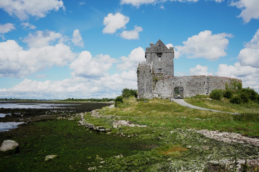 A castle sitting on top of a lush green field