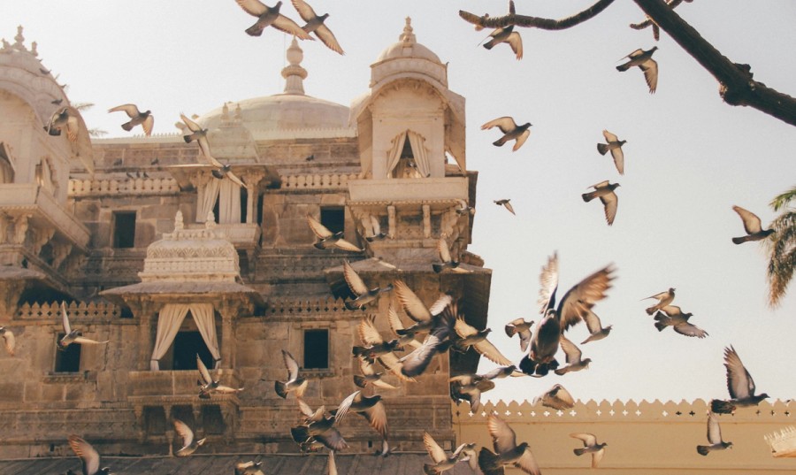 Birds flapping around in front of an old Indian building
