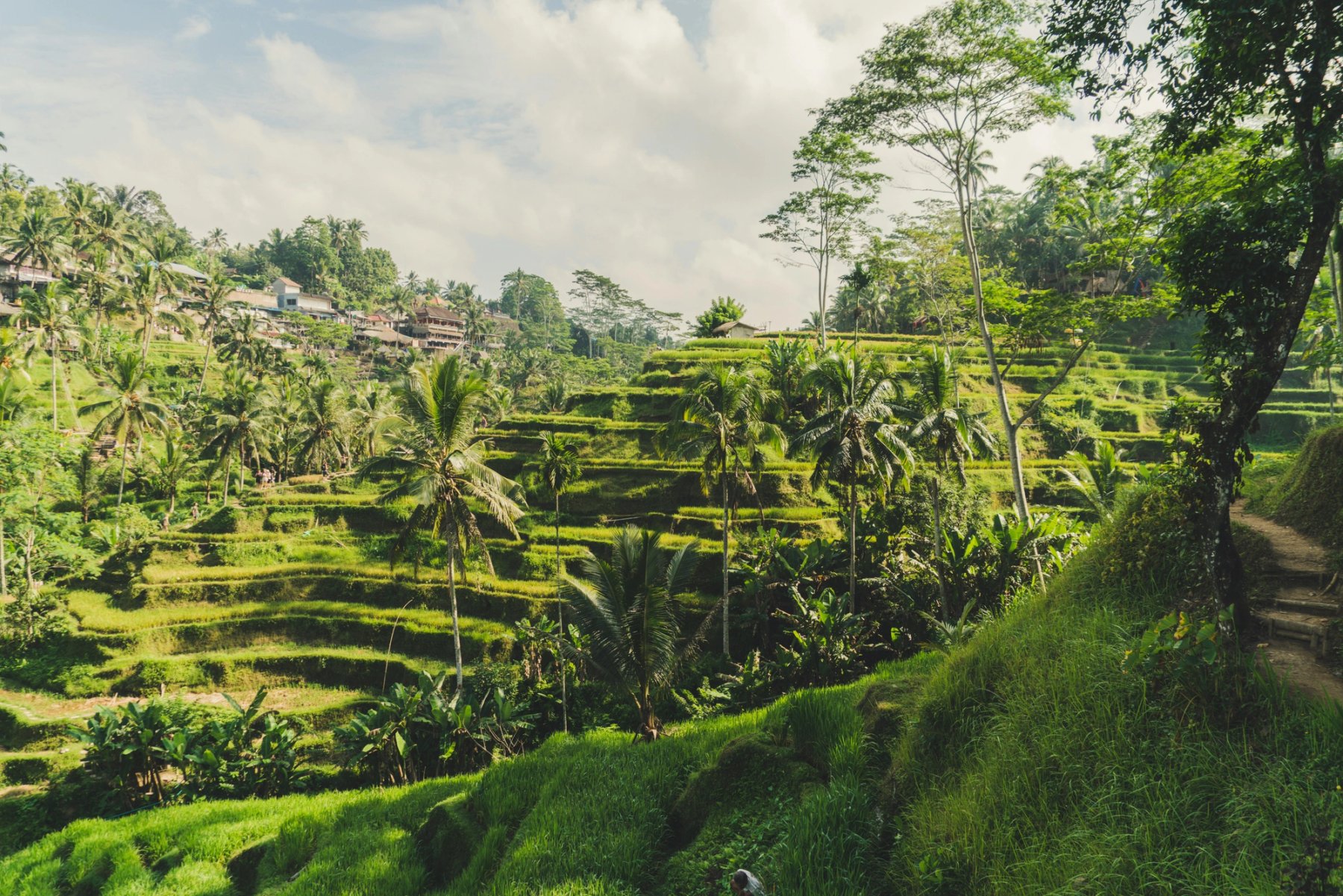 Rice terraces on mountain side under blue sky at daytime