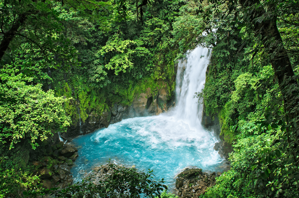 A waterfall tumbling through the jungle into a pool below